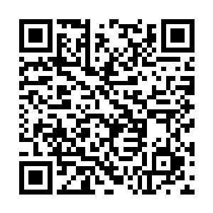 走在前方的戴梦微拐杖缓慢而有节奏地敲打在地上二维码生成