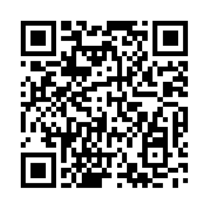 走在队伍最前面的是两个风格迥异的小朋友二维码生成