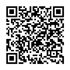 走投无路的闪电生命不愿意错过丝毫能逃离绝境的可能性二维码生成