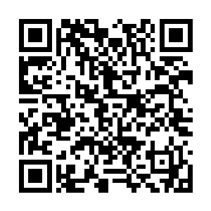 走过来的张咏指着站在边上没走的女护士笑着打趣二维码生成