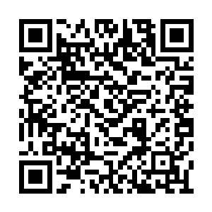 走近了才看到坐在上面零零星星的两三个小孩儿二维码生成