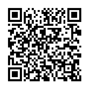 赵君度完美无瑕的面容仍是耀眼得如会透出光华二维码生成