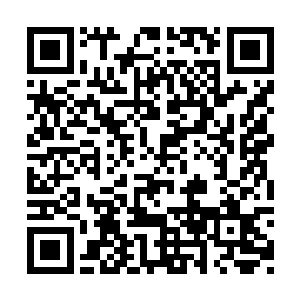 赵大山和耿建峰已经研究出来营救苏晓红的计划二维码生成