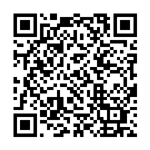 赵宗河十分嚣张的用手中的铁棍指着沈朝龙大声骂道二维码生成