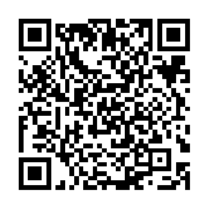 赵峰的冥心印依旧无法烙印在灭世黑蛟龙的灵魂深处二维码生成