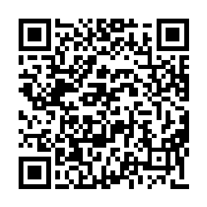 赵峰这点算是才登上修真门槛的来说是脆不堪的二维码生成