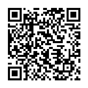 赵庄年底分钱的事情已经在周围的四邻八乡穿的沸沸扬扬二维码生成