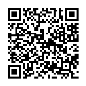 赵无极听到杨戬的话之后想了一下当下直接点点头开口道二维码生成