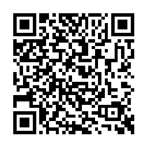 赵林是个戴着眼镜有些学术气的高级工程师模样二维码生成