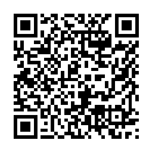 赵玉山瞥了一眼就要被童小军彻底打开的塑料纸包说道二维码生成