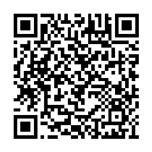 赵红秀和丫丫两个人看着坐在地上面的这位师伯二维码生成