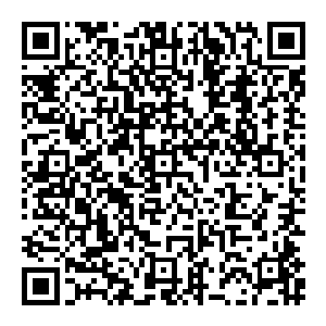 赵纯良一个闪身就躲过了对方的攻击　而后抬起一脚重重的踹在了对方的肚子上　硬生生将对方踹飞出去好几米　重重的撞在了一堵墙上二维码生成