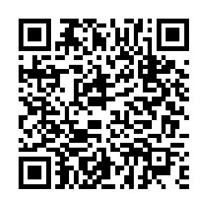 赵纯良兴奋的拉着白小仙去了就近的一个小酒馆喝两杯二维码生成