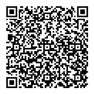 赵纯良错愕的看着菲尼斯 这菲尼斯竟然穿了一身的锁子甲 而且看这锁子甲的样子 似乎一点都不影响菲尼斯的运动二维码生成