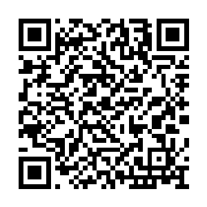 赵纯良面前的往生树上传来一阵阵咔嚓嚓的声音二维码生成