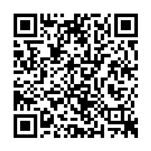 赵虎对于陈梦瑶怀疑自己能力的态度十分的不满二维码生成