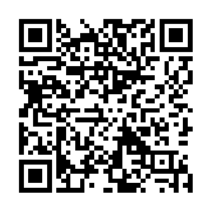 赵虎统率着的两千精锐部队已经进行过不知多少次沙漠作战二维码生成