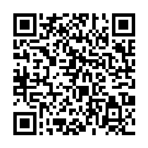 赵衷同学也是一只勤勤恳恳默默耕种奉献的老黄牛啊二维码生成