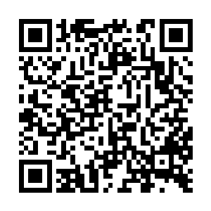 赵辉他们找了这么多年都没有发现这里的秘密基地二维码生成