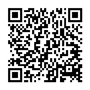 赵长卿只得乖乖的按照苏先生的话去煮茶给苏先生喝二维码生成