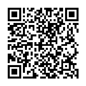 赵长枪则继续用瞭望塔里的高分辨率望远镜看着远处的战斗二维码生成