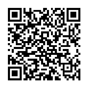 赵长枪和朴正明谁都不知道猫头鹰已经改变袭击目标二维码生成