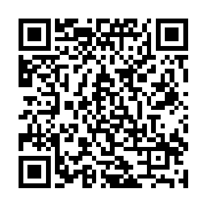 赵长枪在整个小清河流域的声望再次上了一个新台阶二维码生成