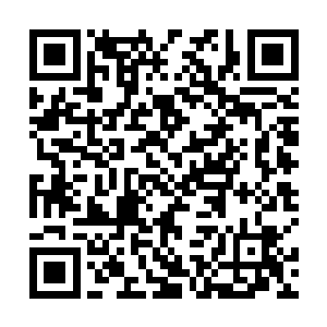 赵长枪将武术表演团的三十六个人都集中到了县体育馆二维码生成