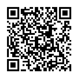 赵长枪就是要让二职高所有的矛盾都在这一刻全部爆发二维码生成
