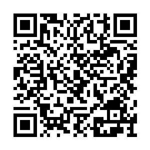 赵长枪抬头看了看离女王号越來越近的三艘快艇二维码生成