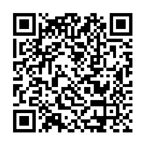 起因是体育学院这帮人从酒吧里出来接后赶来的朋友二维码生成