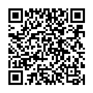 起码他们这种主打生物蛋白制剂的销售价格波动很大二维码生成