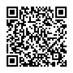 起码他都没发现这黑美人平时把水果刀藏在什么地方二维码生成