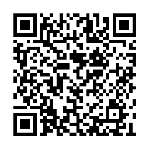 起码感应到了五六波探测波动扫过他所在的队伍二维码生成