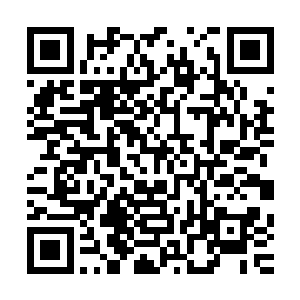 起码现在我们可以确定那个该死的家伙已经很久没有出现过了二维码生成
