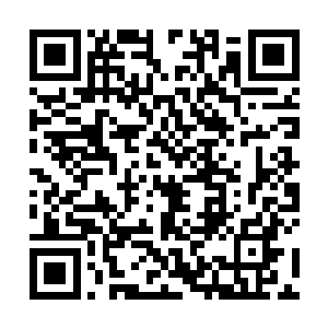 起码能分散下注意力不用一直想着外面诡异的婴孩哭声二维码生成