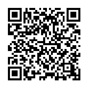 起码要二十颗以上的入天丹外加一定数量的中品真元石才行二维码生成