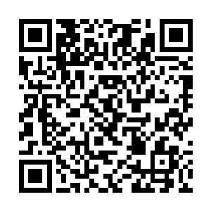 起身速度稍慢的丁泽全硬是被一脚给踢的翻滚了出去二维码生成