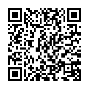 趁着闲暇之余将翠云峰上所有灵土全部种上灵药灵草二维码生成