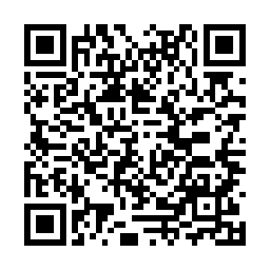 趁这托塔卡夫和水明月联合攻击着王者神兽的时候二维码生成