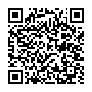 超级地仙这四个字便是说明了他们和地仙之间的鸿沟二维码生成