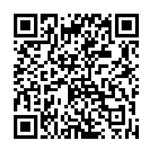 超高速的双属性连打如疾风骤雨般敲在了狂踪剑影的背上二维码生成