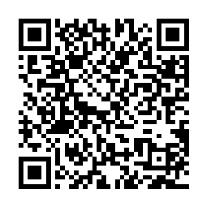 越多人能够尽快掌握草药的知识对于部落来说是件好事二维码生成
