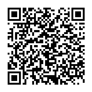 越影紫电喷云母兽一眼就看到那被挂在变异枫叶树上的一排小幼崽二维码生成