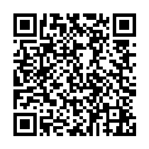 越是漂亮的女人越是柔弱……这在帝国似乎已经成为了共识二维码生成