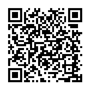 趣高涨的余长行才发现站在走廊边上许久的花久久二维码生成