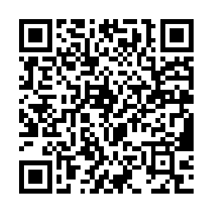 足以使得这两支山谷里的军队互相看清对方的面貌了二维码生成