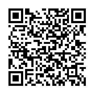 足以将一个小门派发展成六大派那样的超级大门派二维码生成