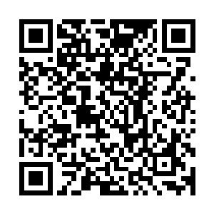 足够这七只狼中剩下的那些撕开自己的肚皮或咬破自己的喉咙二维码生成