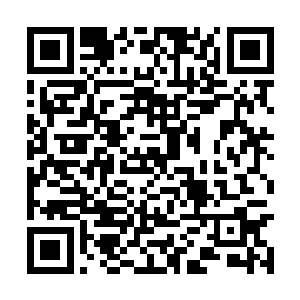 足够那些荒兽将这方大陆上的修士吞噬得七七八八二维码生成